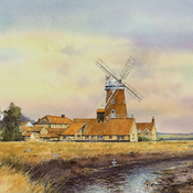 Cley Mill and Shelduck
 tn